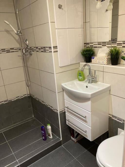Apartment Star Brno With Terrace 5 Komín Εξωτερικό φωτογραφία