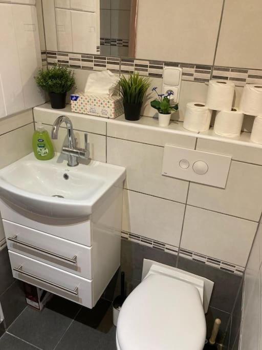 Apartment Star Brno With Terrace 5 Komín Εξωτερικό φωτογραφία